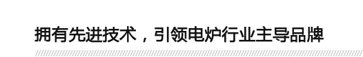 擁有先進(jìn)技術(shù)，引領(lǐng)電爐行業(yè)主導(dǎo)品牌